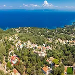 Dimitris
